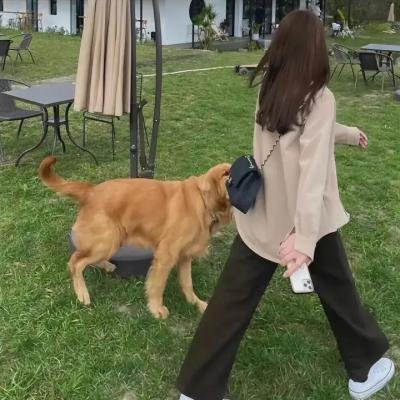 魔法律事务所第一季海报