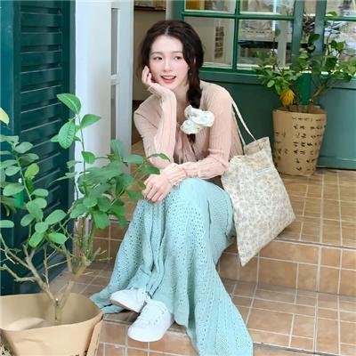 丹顶鹤女孩海报